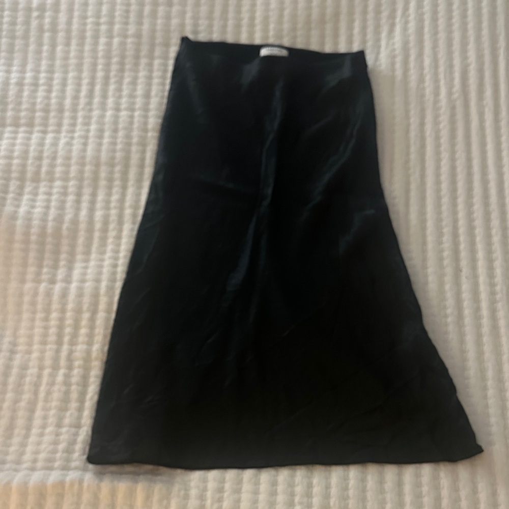 Aritzia silk midi skirt
